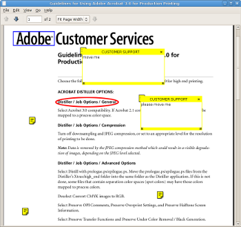 A PDF document with text annotations in evince