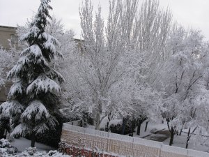 Snow in Madrid