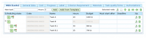WBS view using configured currency symbol