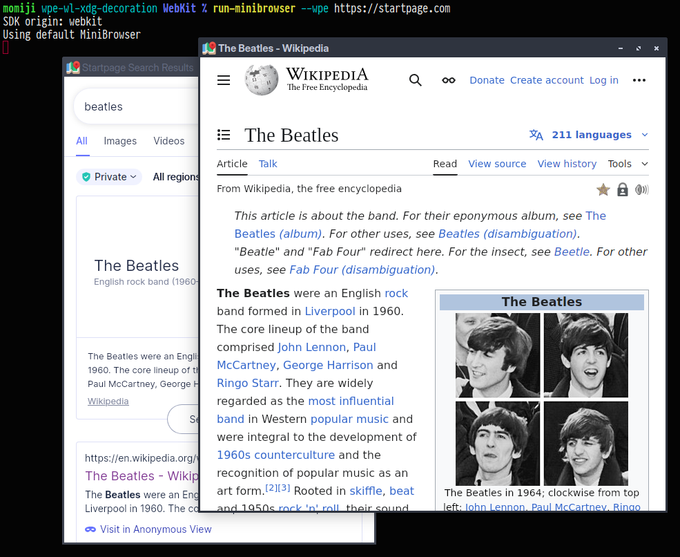 WPE MiniBrowser, showing server-side decorations with the Labwc compositor